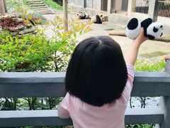 -中国大熊猫保护研究中心雅安碧峰峡基地