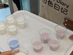 -白色日记·手作酸奶(麦凯乐店)