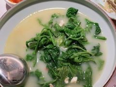 上汤桑叶苗-大榕树下顺德菜(融创茂店)