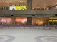 -冰堡国际溜冰场(观澜湖新城MHMALL店)