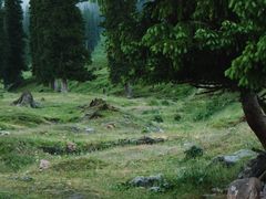-新疆那拉提国家旅游度假区