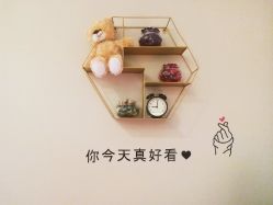 点击看大图 -菲秀家科技美颜SPA生活馆