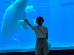 -海合安成都极地海洋公园