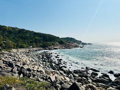-广东惠东海龟国家级自然保护区