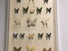 -陕西自然博物馆