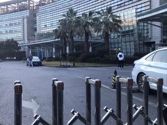 -上海中医药大学附属曙光医院(东部)