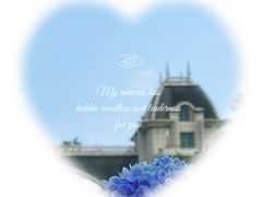 -菲鱼体育恒温游泳馆(中海名城店)