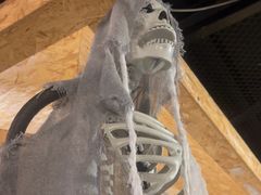 -长藤鬼校(龙翔店)