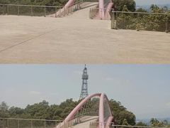 -金鸡山公园