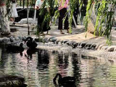 -水磨沟公园