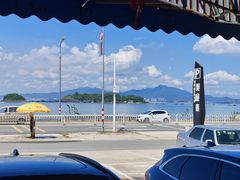 -巽寮湾海鲜批发码头