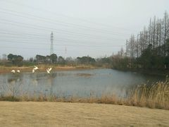 -上海长兴岛郊野公园