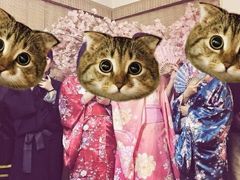 -鑫梦桌游谋杀之谜剧本杀俱乐部(联合商厦店)