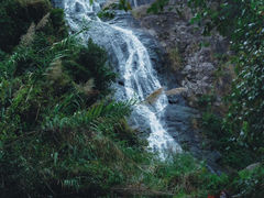 -马峦山郊野公园