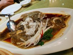 清蒸多宝鱼-铜锣湾·有麝自然香(重庆新天地店)