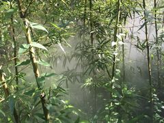 -紫竹院公园冰场