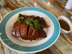 -椿记烧鹅(叠彩店)