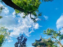 -西海子公园
