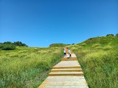 -御道口草原森林风景区