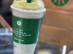 -茉酸奶(春熙路店)