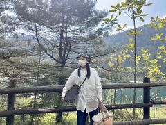 -武陵山森林公园