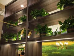 -刘胖子家常菜·蹄花焖藕(中南店)