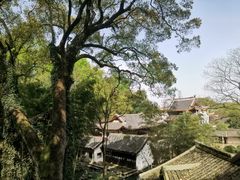 -岳麓山风景名胜区