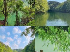 -青龙山国家森林公园