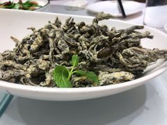 -解家河南菜(商鼎路店)