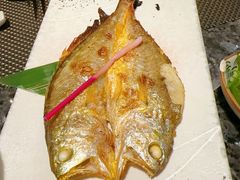 -菊上料理(蜀山银泰百货店)