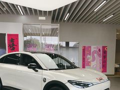 -上海浦东smart汽车全功能店(金桥店)