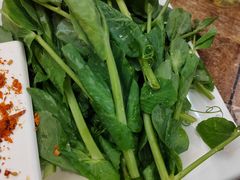 -老蜀铜火锅·酸菜脊骨·麻辣羊蝎子(热闹路店)