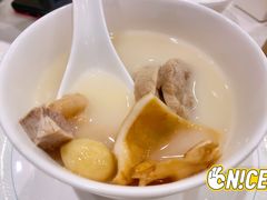 杏汁花胶炖白肺-翠园(北京王府中环店)