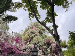 -深圳国际园林花卉博览园