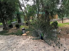 -淇河国家湿地公园