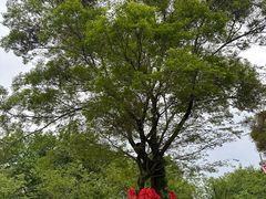 -福建鲤鱼洲酒店