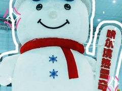 -哈尔滨热雪奇迹