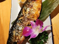 -酒井酱子·深夜食堂(东城汇店)
