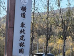 -横道河子东北虎林园
