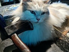 -暗楼·剧本杀·桌游