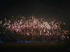 -国际非物质文化遗产博览园
