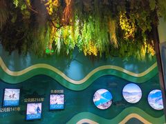 -海合安成都极地海洋公园