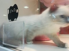 -北国商城