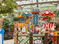 -南宫五洲植物乐园