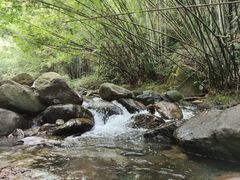 -紫云谷景区