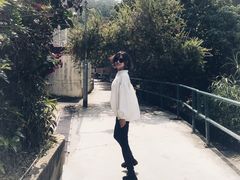 -南丫岛