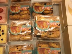 -蒲公英(五里店)