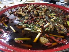 -东吴霸王兔(松青路店)