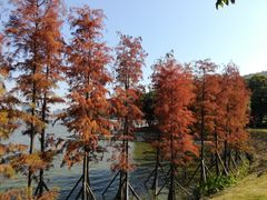 -顺峰山公园
