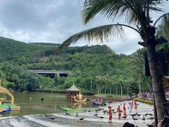 -西双版纳原始森林公园